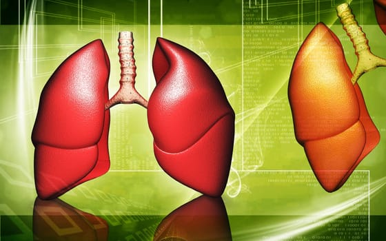 Digital illustration of human lungs in colour background