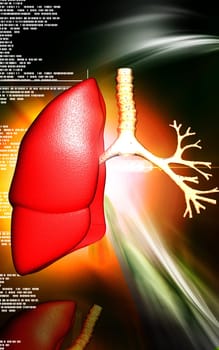 Digital illustration of human lungs in colour background