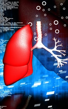 Digital illustration of human lungs in colour background