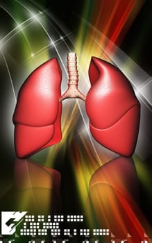 Digital illustration of human lungs in colour background