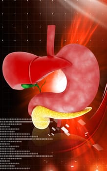 Digital illustration of Liver and stomach in colour background