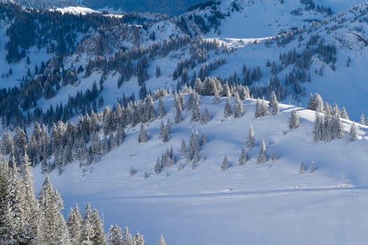 Winter mood in the mountains
