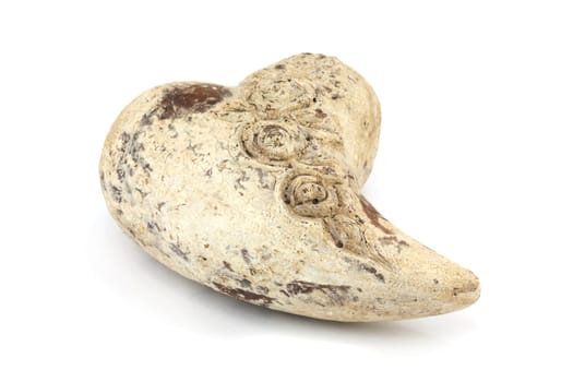 Fossil,close-up of a prehistoric stone on a white background