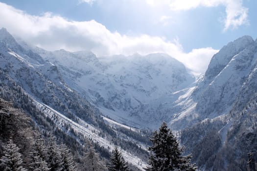 White snow on Italian Alps during winter