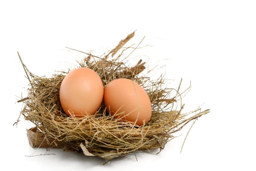 Egg in a Nest