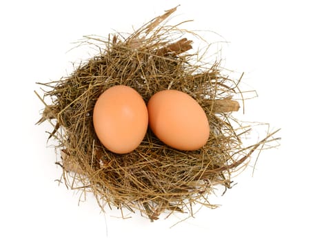 Egg in a Nest