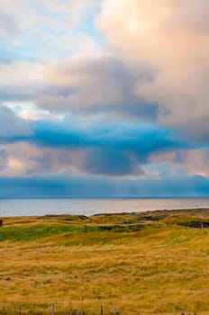 Icelandic landscape with volcanic rocks and green grass
