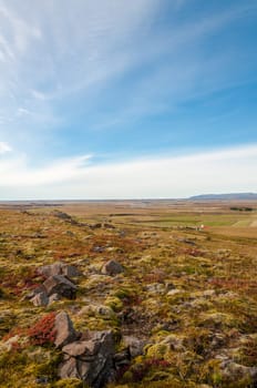 Icelandic landscape with volcanic rocks and green grass