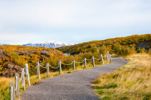 Icelandic landscape with volcanic rocks and green grass