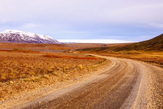 Icelandic landscape with volcanic rocks and green grass