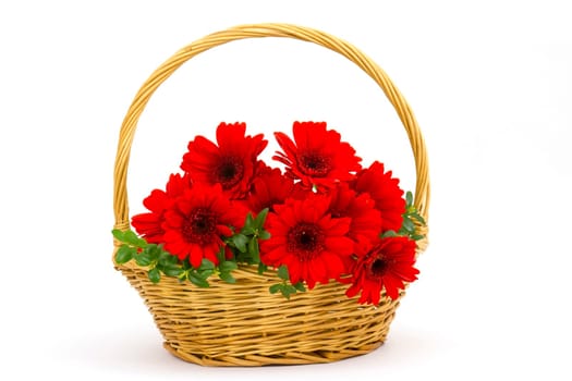 gerbera flowers in a basket