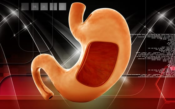 Digital illustration of stomach in colour background