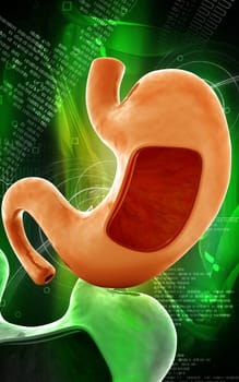 Digital illustration of stomach in colour background