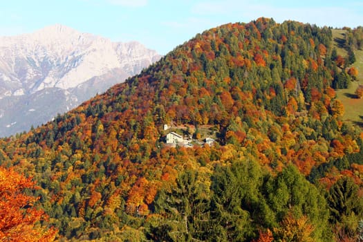 A variety of the colours of the autum in Italy