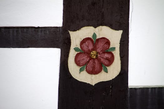 Lippe rose on a half-timbered house