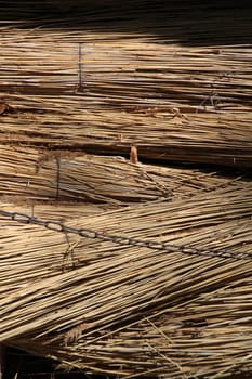 Bundles of thatch