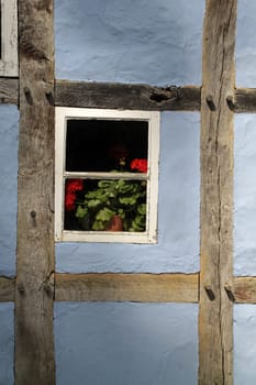 Window with geraniums
