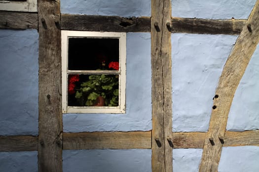 Window with geraniums