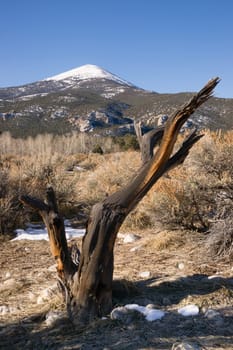 Winter landscape in Great Basin National Park