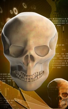 Digital illustration of Human skull in colour background