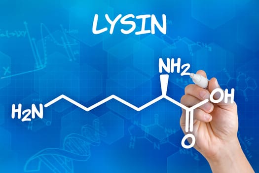 Hand draws chemical structural formula of lysine