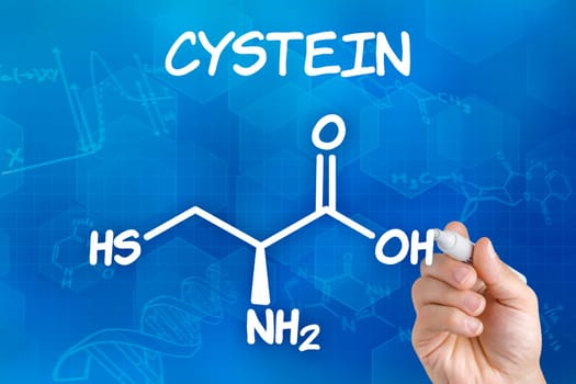 Hand draws chemical structural formula of cysteine