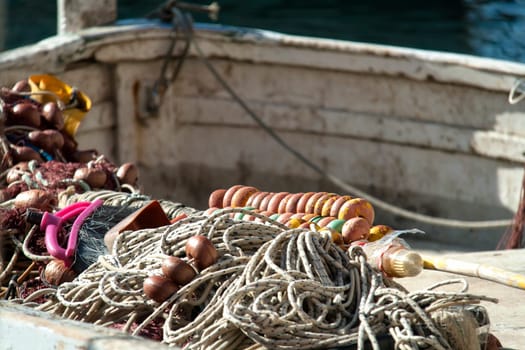 Stray cat,in the port of boccadasse ,a fishing village