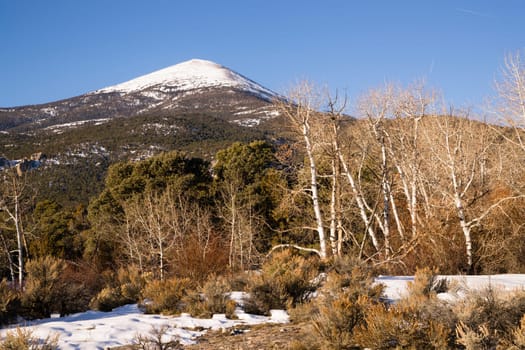 Winter landscape in Great Basin National Park