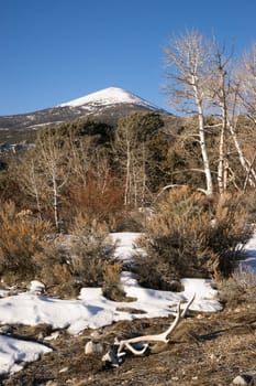 Winter landscape in Great Basin National Park