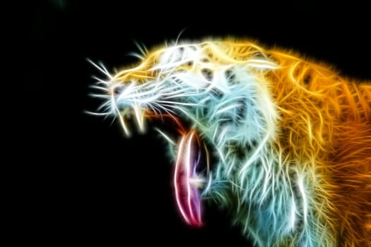 Side view of tiger head head with open mouth and tongue out. Horizontally.