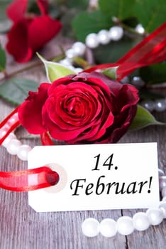 A Valentines Background with red Roses and white Label