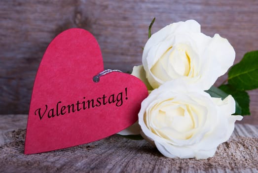 Valentines Background with white Roses and the German Word Valentinstag on it which Means Valentines Day