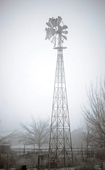 A flock of Birds take a rest on this old ranch windmill