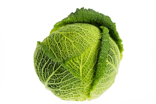 Whole savoy cabbage isolated on a white background