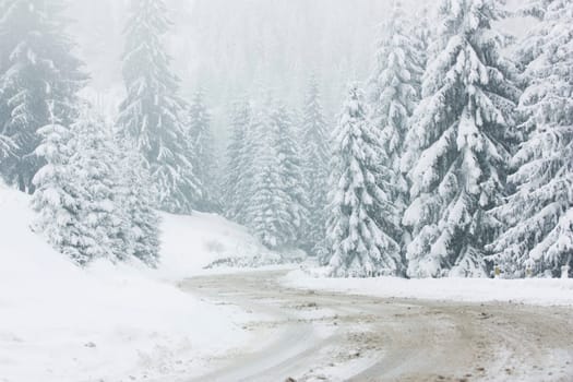 Snow covered winter road