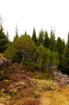 Thingvellir national park, Iceland