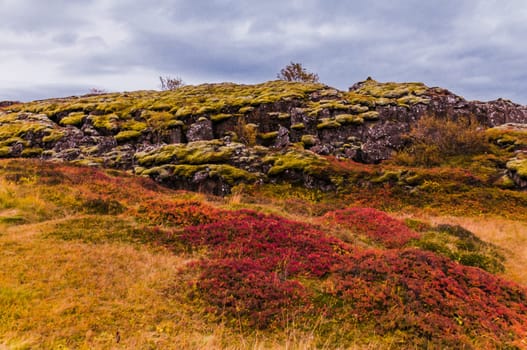 Thingvellir national park, Iceland
