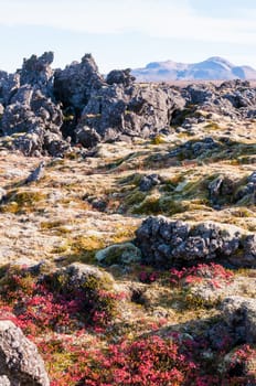 Icelandic landscape with volcanic rocks and green grass