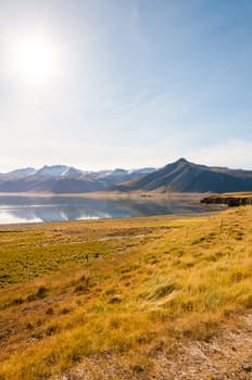 Icelandic landscape with volcanic rocks and green grass