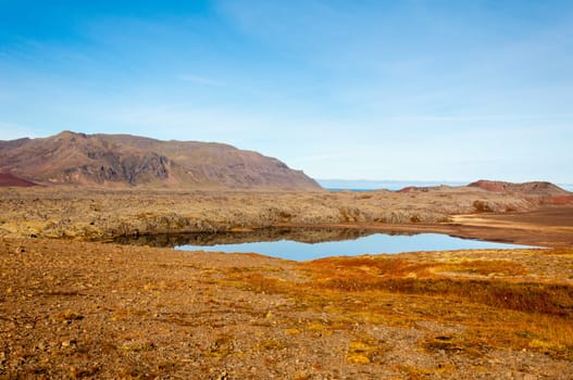 Icelandic landscape with volcanic rocks and green grass