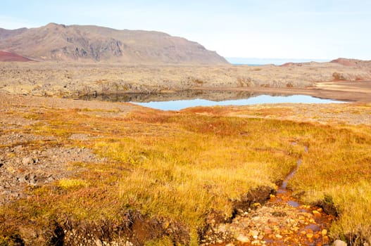 Icelandic landscape with volcanic rocks and green grass