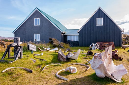 Whale bones in Djúpalónssandur museum, Iceland