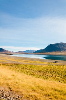 Icelandic landscape with volcanic rocks and green grass