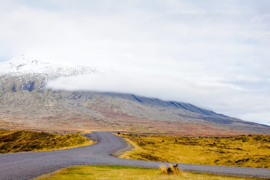 Icelandic landscape with volcanic rocks and green grass