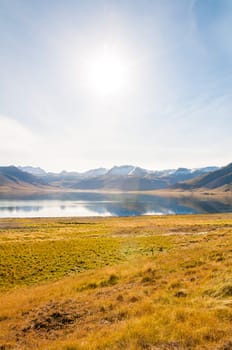 Icelandic landscape with volcanic rocks and green grass