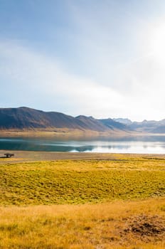 Icelandic landscape with volcanic rocks and green grass
