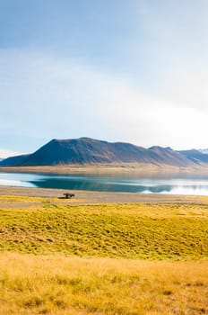 Icelandic landscape with volcanic rocks and green grass