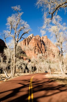 Vertical composition of a road in Zion National Park in Winter