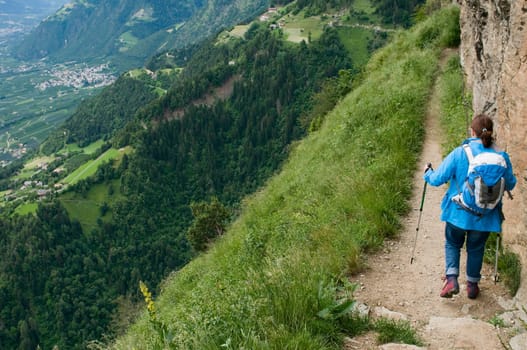 Landscape shot with Wandrerin on a narrow path on a steep slope in South Tyrol near the village of Dorf Tirol in summer