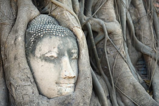 Buddha Head Surrounded by Roots in Ayutthaya